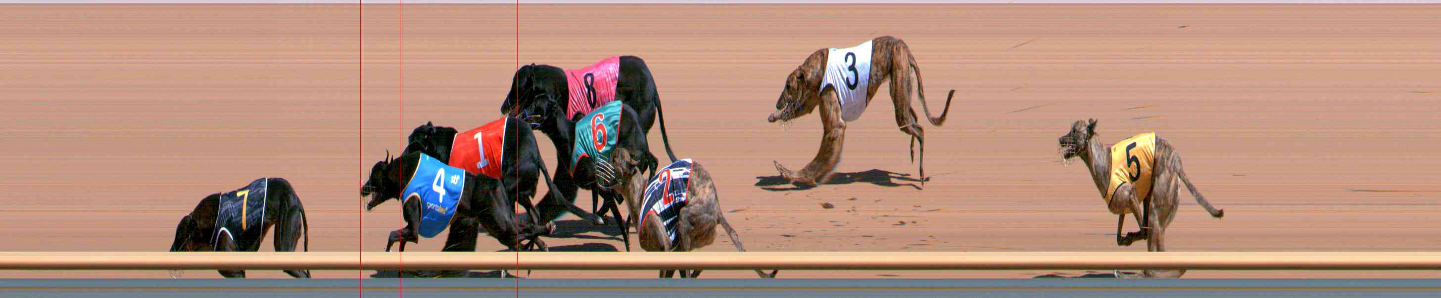 Photo finish for Healesville Race 2