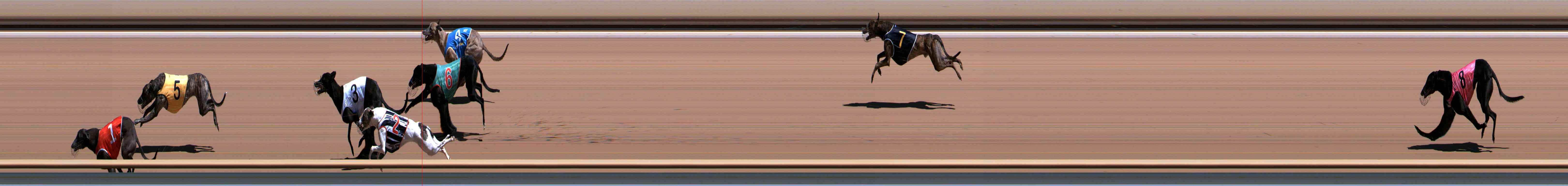 Photo finish for Healesville Race 3