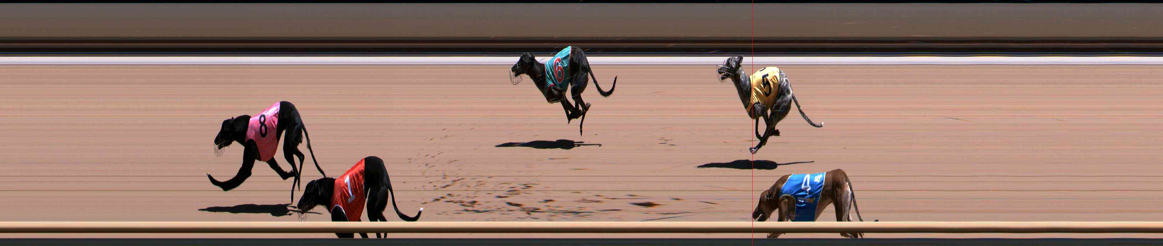 Photo finish for Healesville Race 5