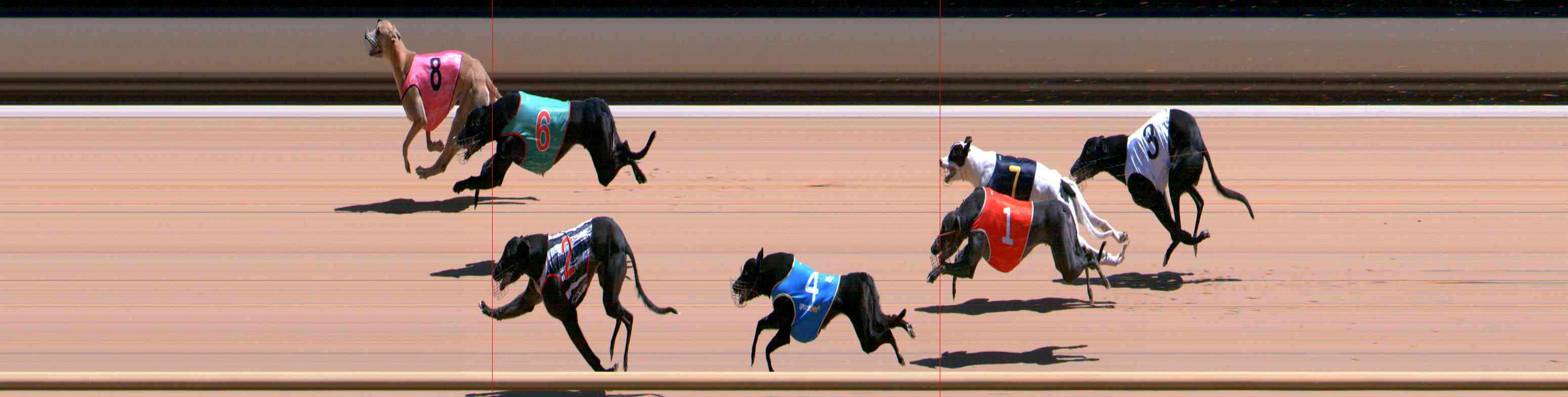 Photo finish for Healesville Race 6