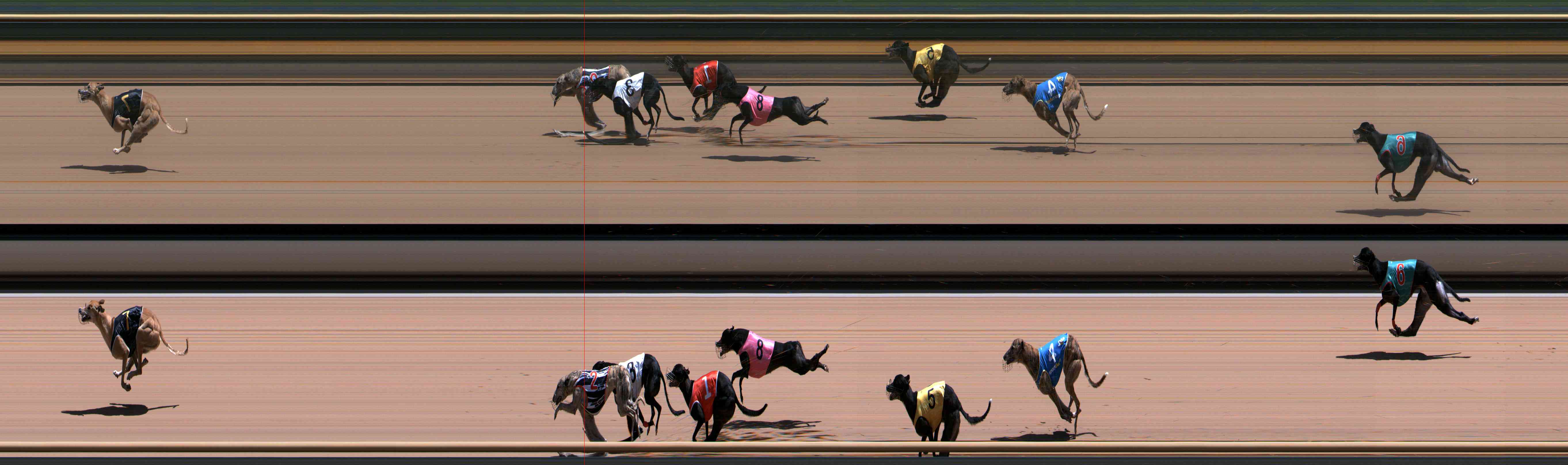 Photo finish for Healesville Race 7