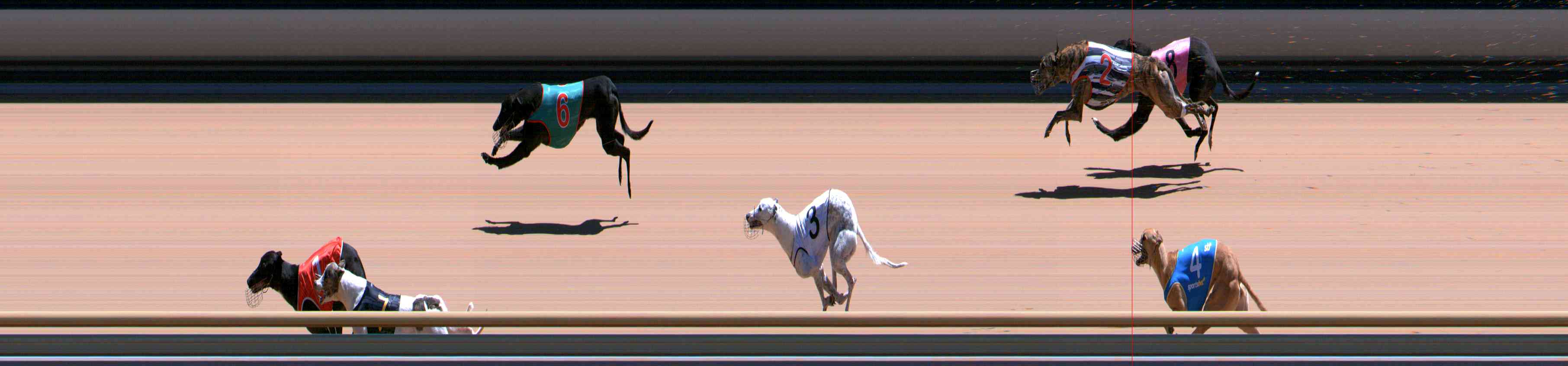 Photo finish for Healesville Race 9