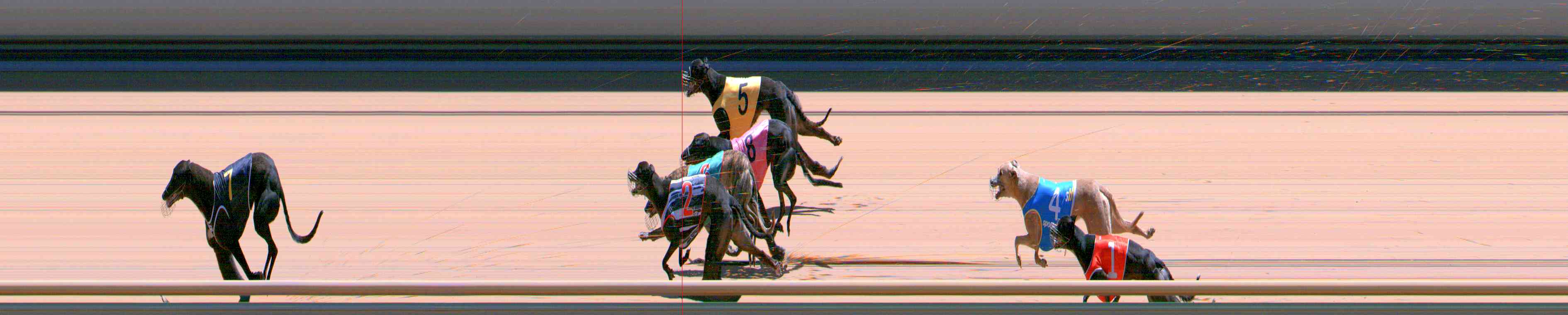 Photo finish for Healesville Race 10
