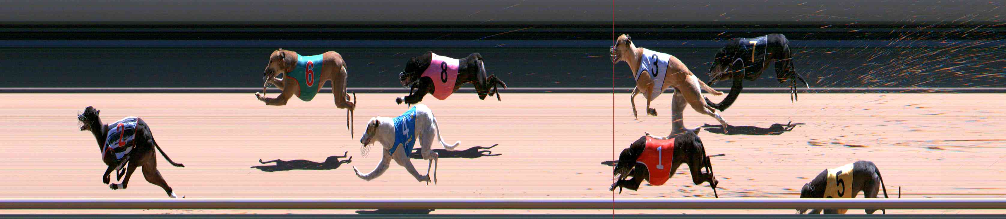 Photo finish for Healesville Race 12