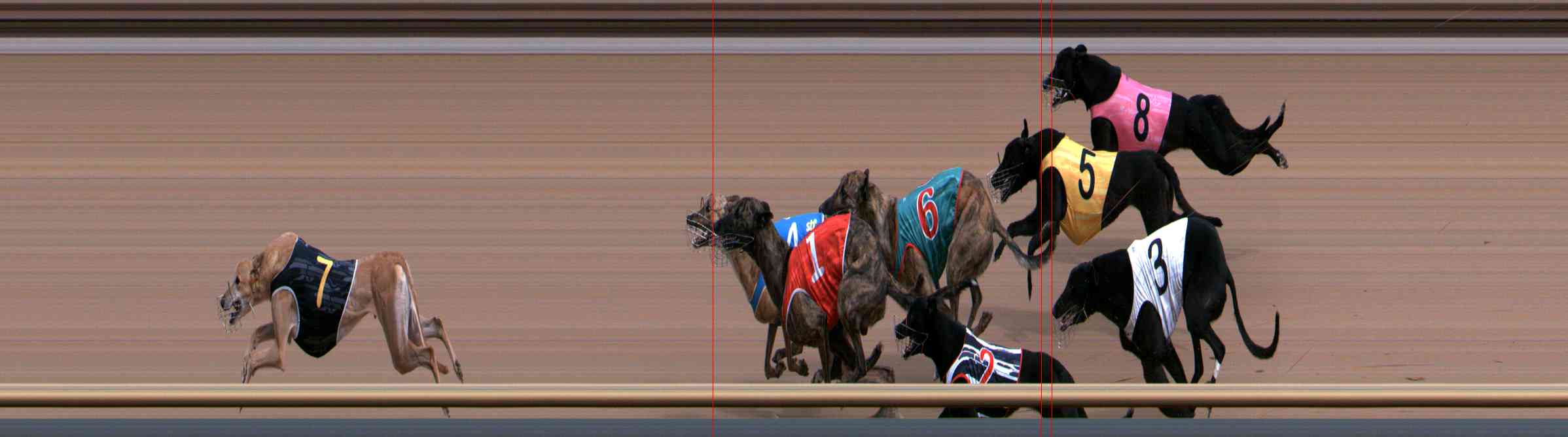 Photo finish for Healesville Race 1