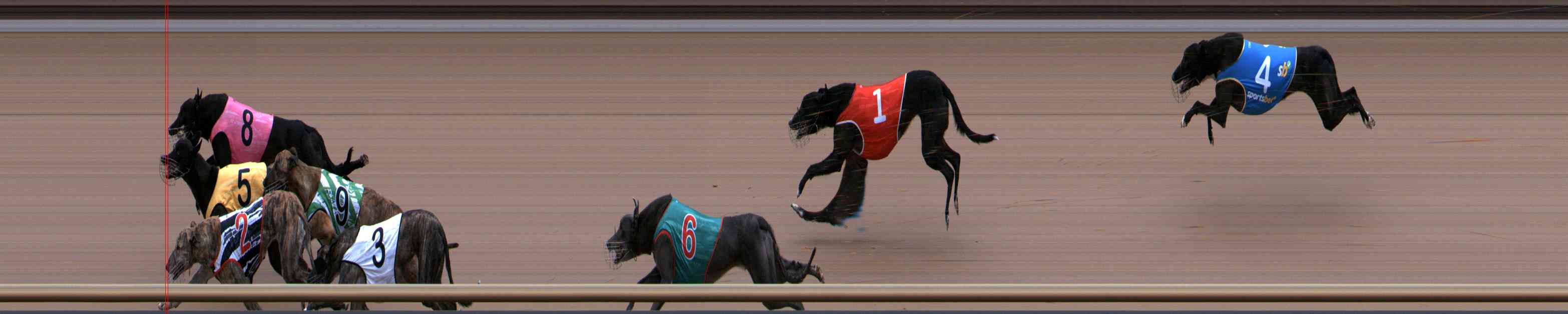 Photo finish for Healesville Race 2