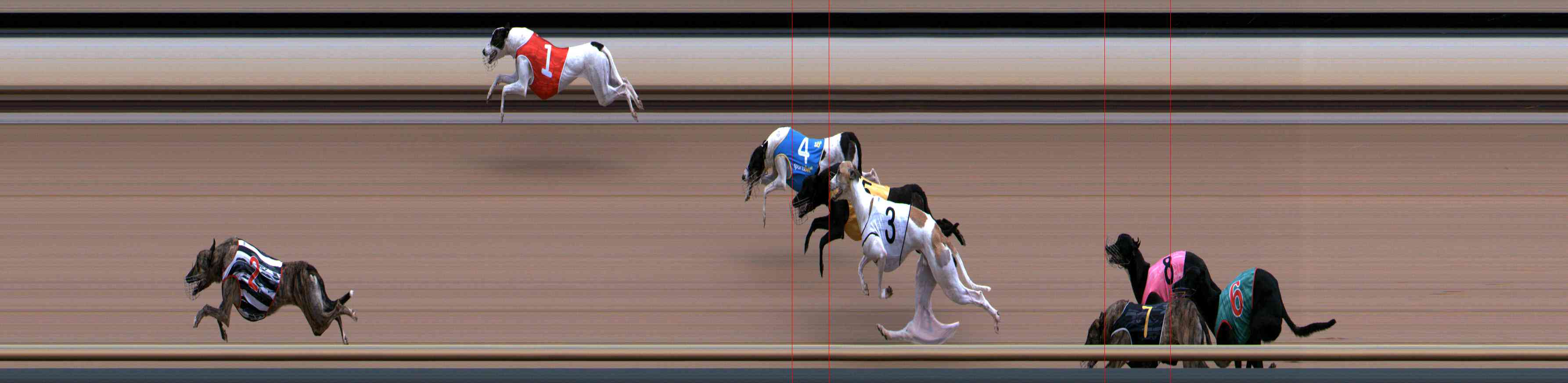 Photo finish for Healesville Race 3