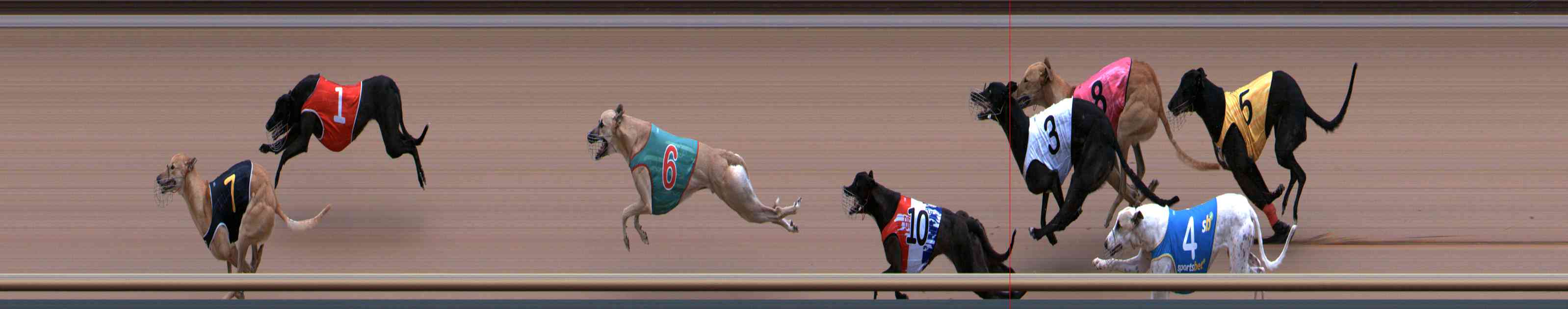 Photo finish for Healesville Race 4