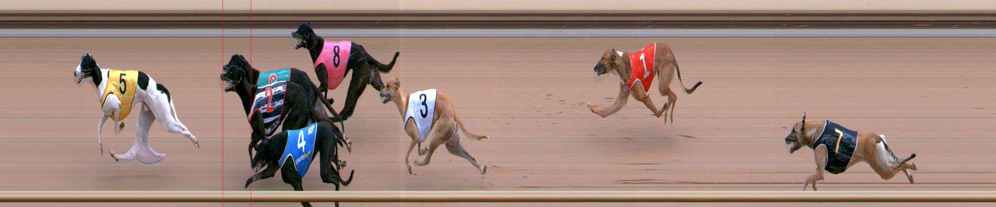 Photo finish for Healesville Race 5