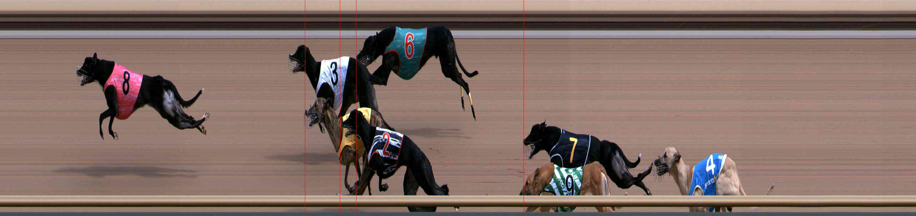 Photo finish for Healesville Race 6