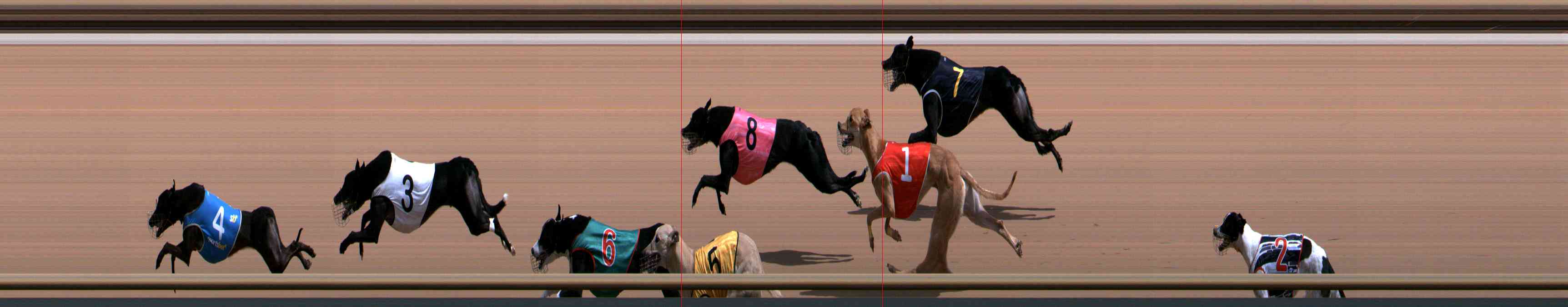 Photo finish for Healesville Race 7