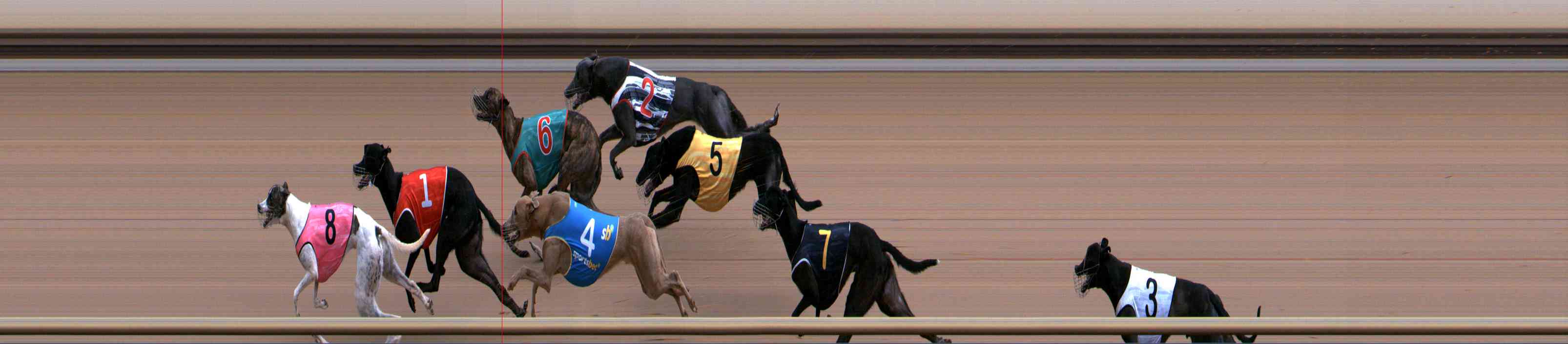 Photo finish for Healesville Race 8