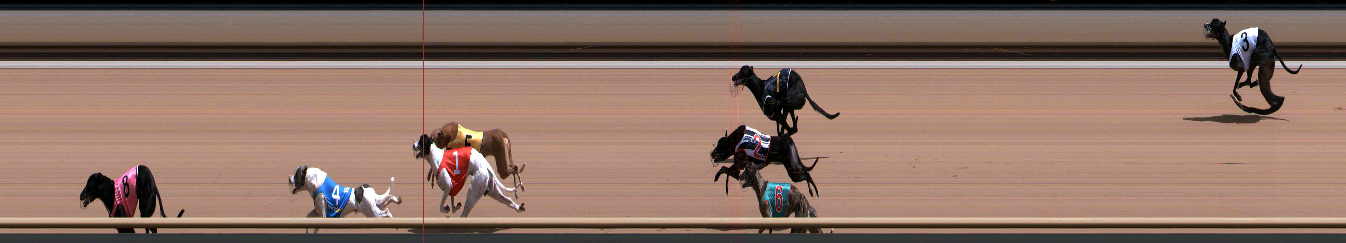 Photo finish for Healesville Race 9