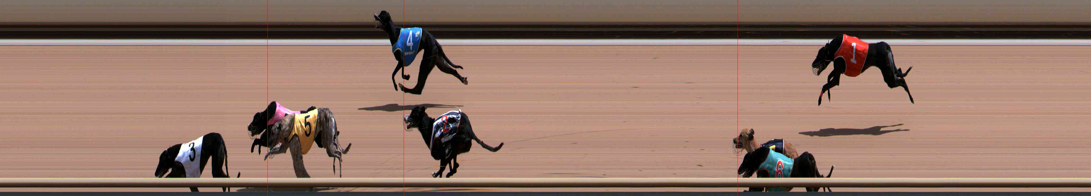 Photo finish for Healesville Race 10