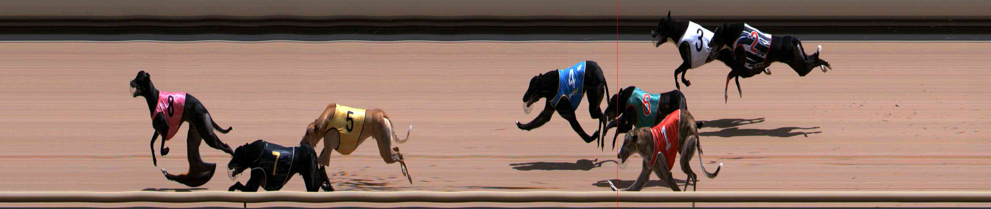 Photo finish for Healesville Race 11