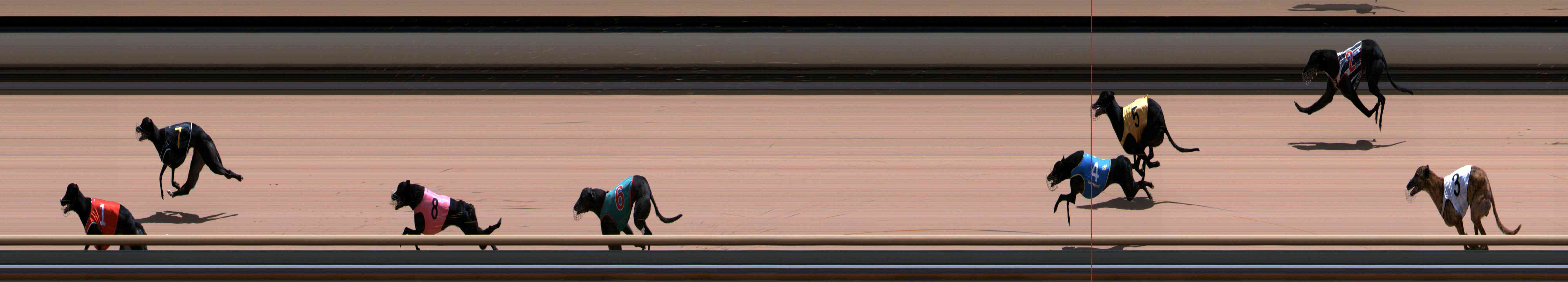 Photo finish for Healesville Race 12