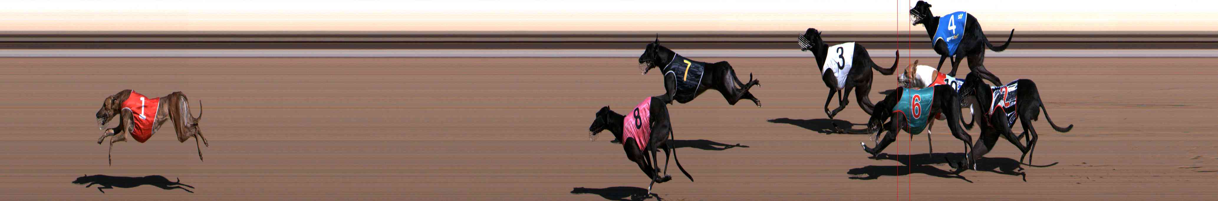 Photo finish for Healesville Race 1