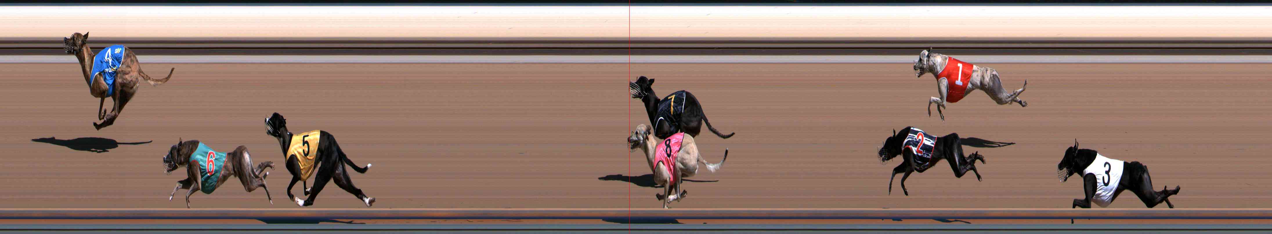Photo finish for Healesville Race 2