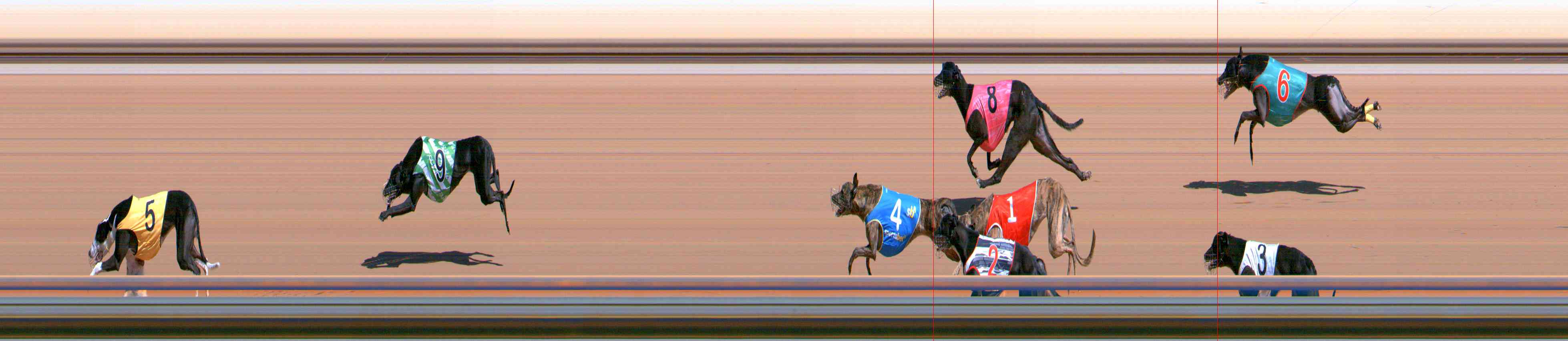 Photo finish for Healesville Race 3