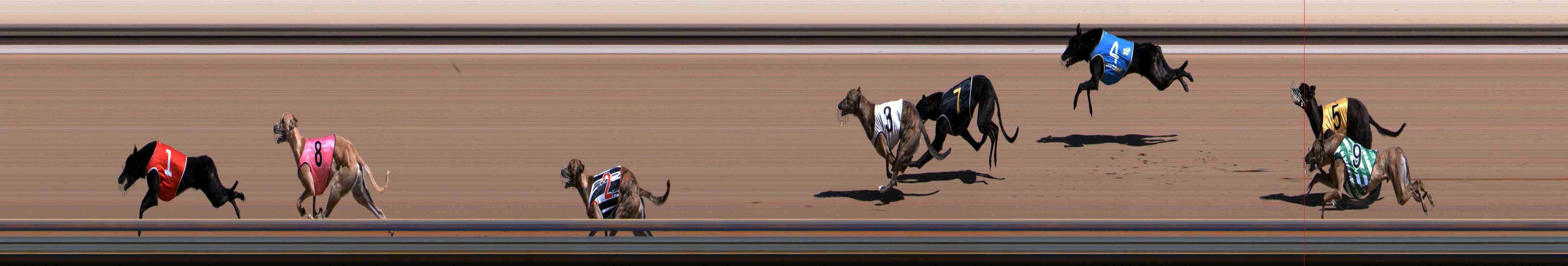 Photo finish for Healesville Race 4
