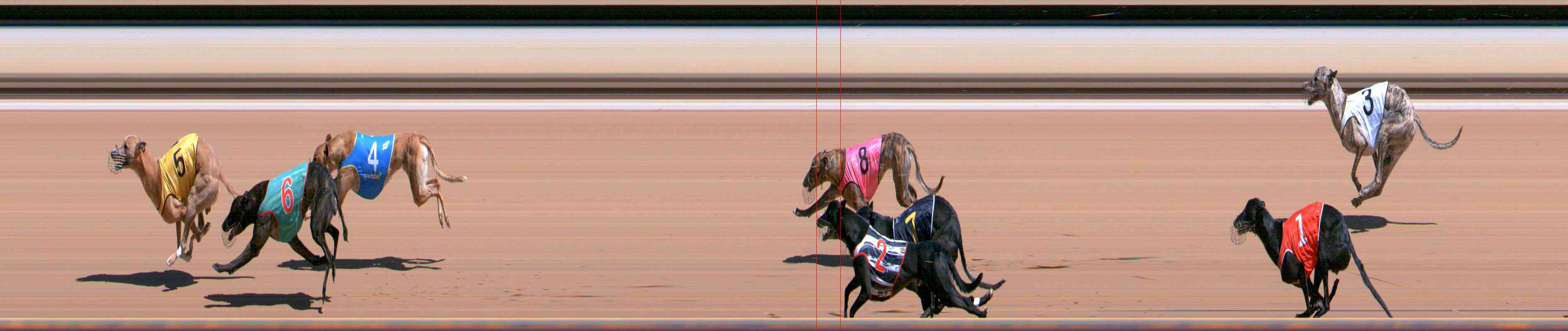 Photo finish for Healesville Race 5