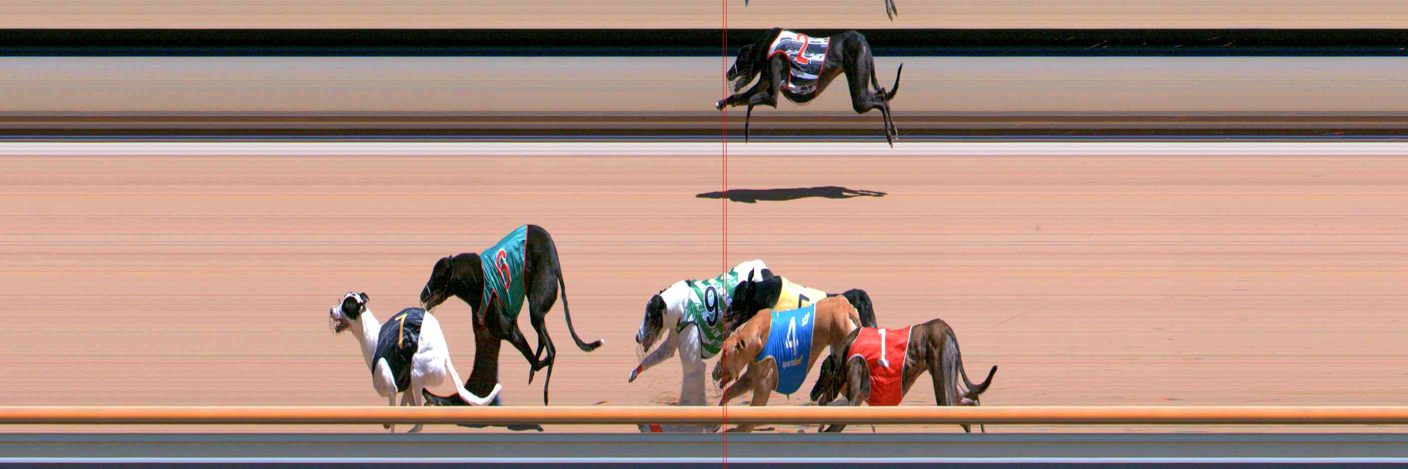 Photo finish for Healesville Race 7