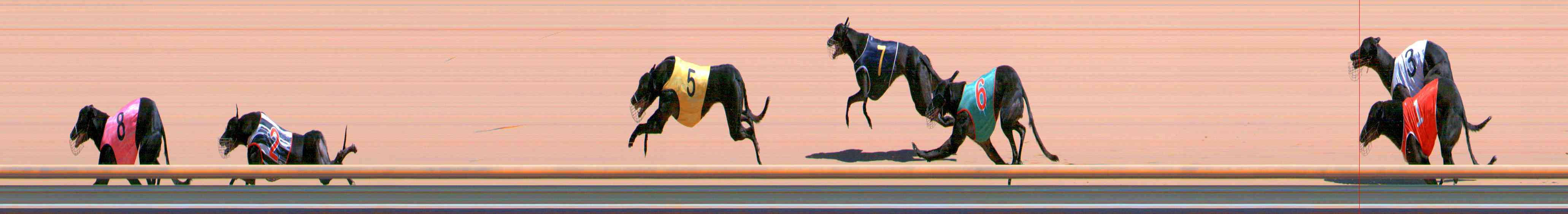 Photo finish for Healesville Race 8