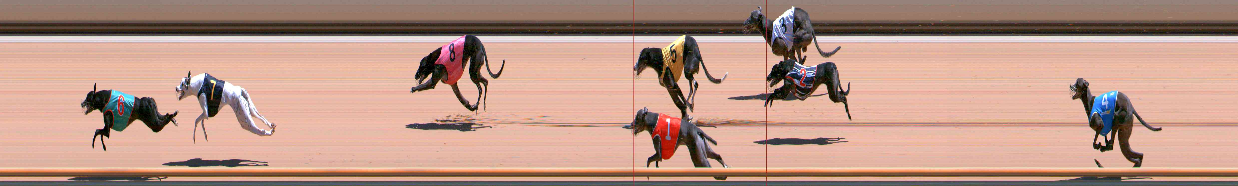 Photo finish for Healesville Race 9