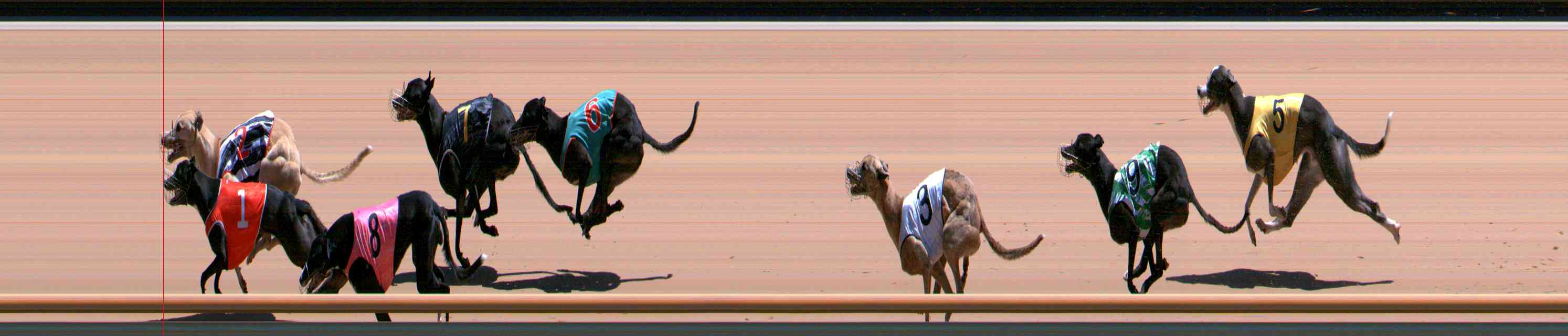Photo finish for Healesville Race 10
