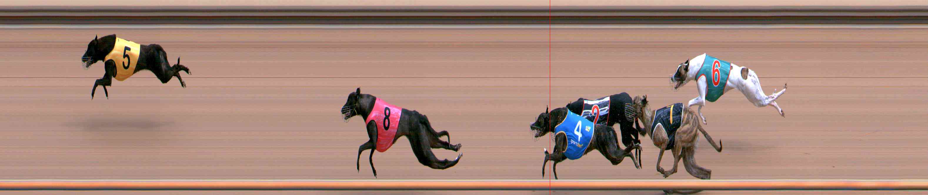 Photo finish for Healesville Race 1