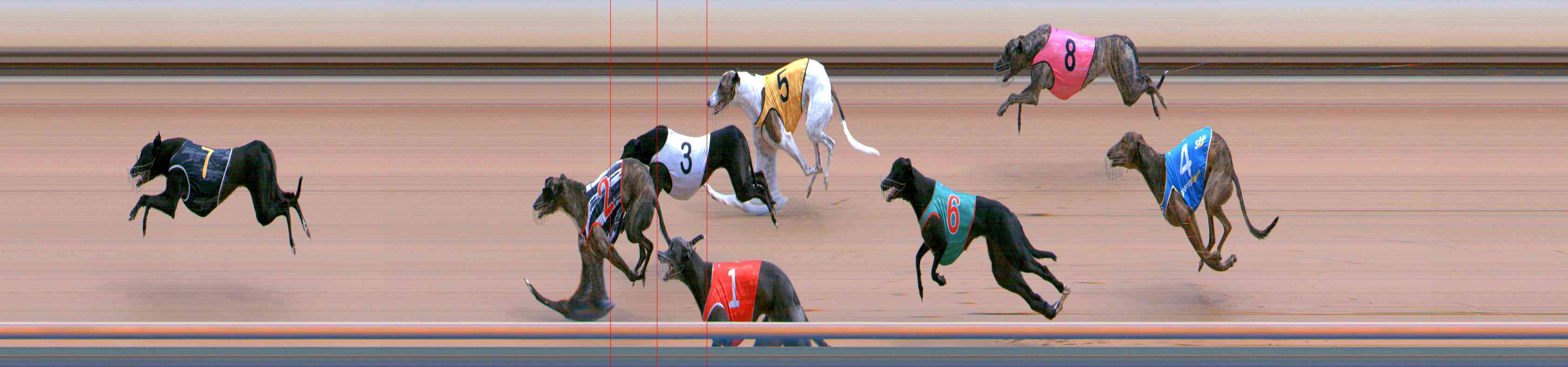 Photo finish for Healesville Race 2