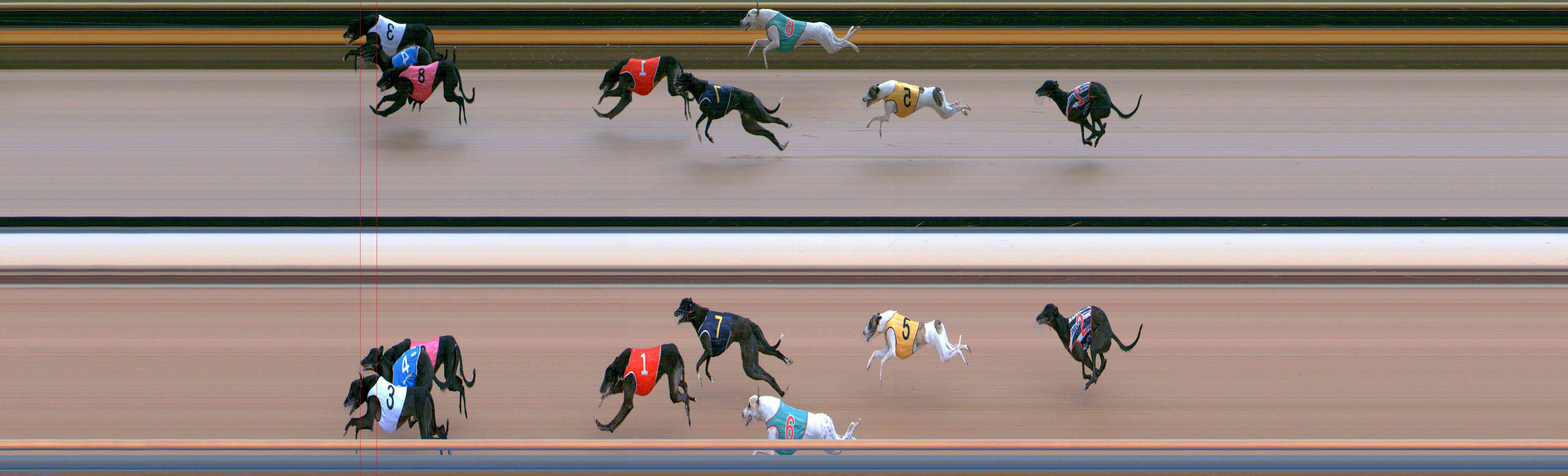 Photo finish for Healesville Race 3