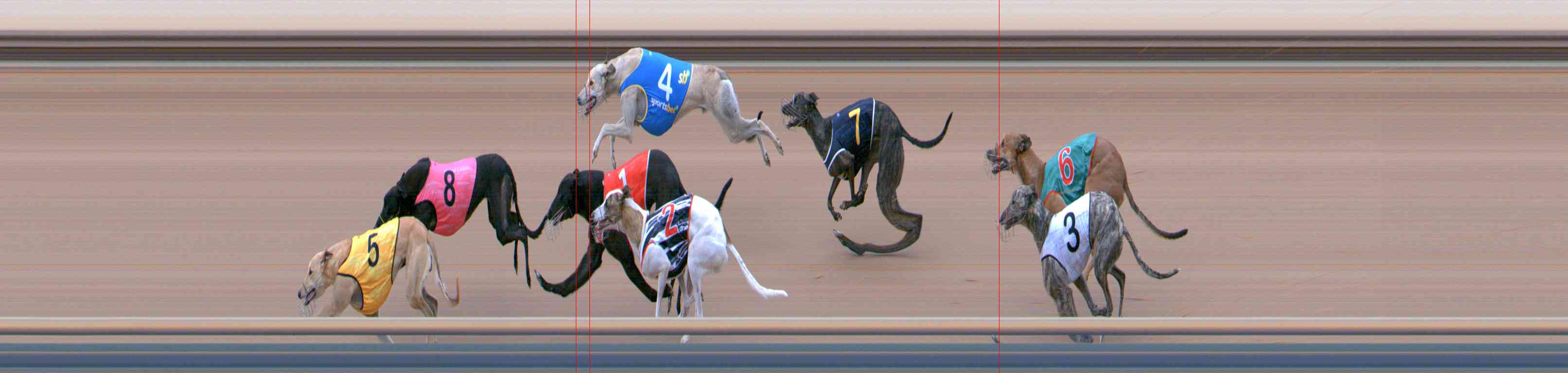 Photo finish for Healesville Race 4
