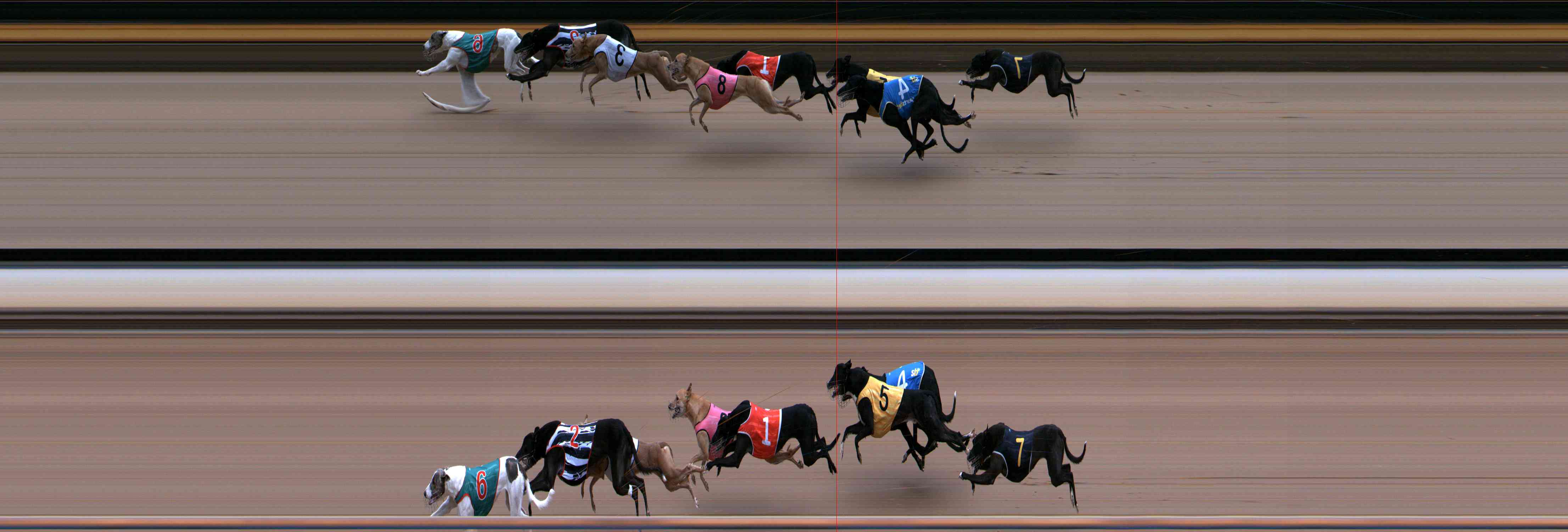 Photo finish for Healesville Race 5