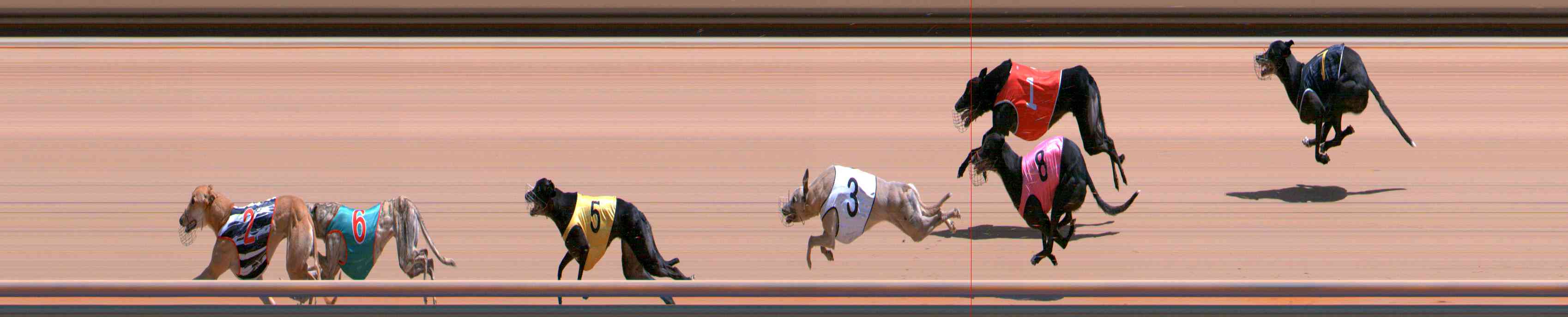 Photo finish for Healesville Race 7