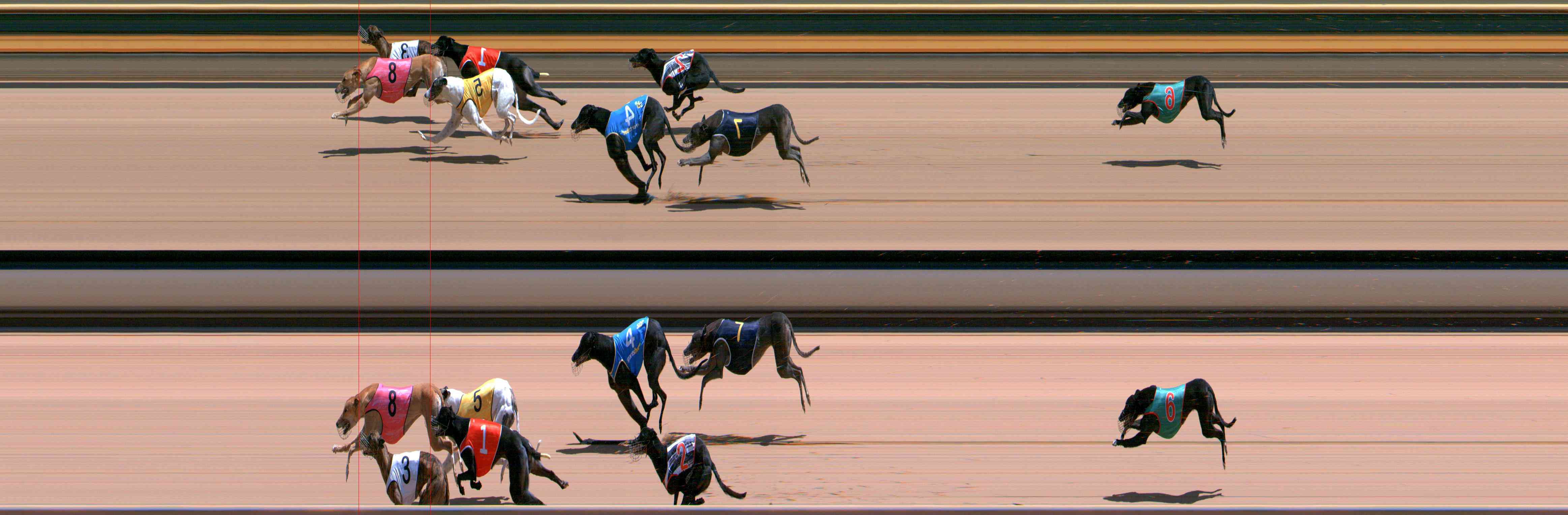 Photo finish for Healesville Race 8