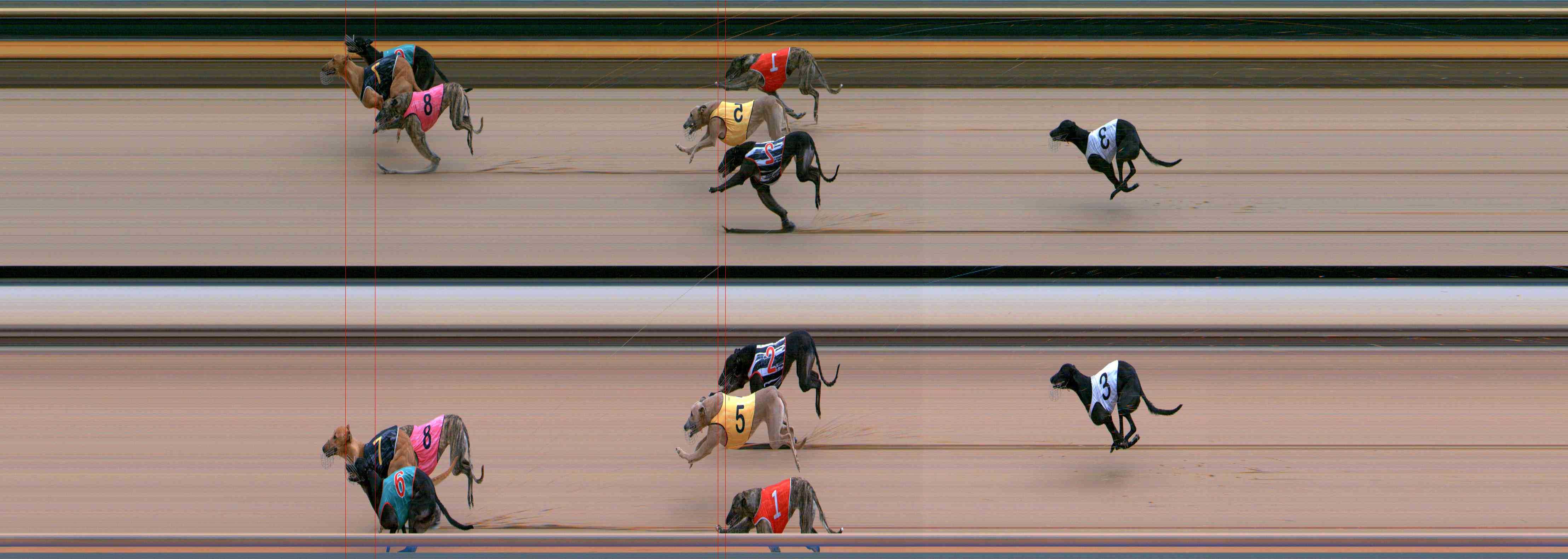 Photo finish for Healesville Race 9