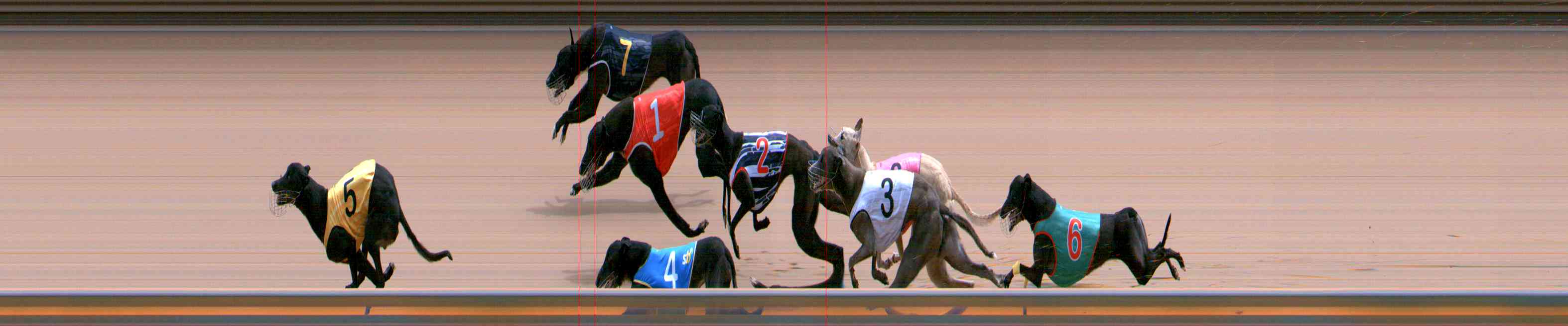 Photo finish for Healesville Race 10
