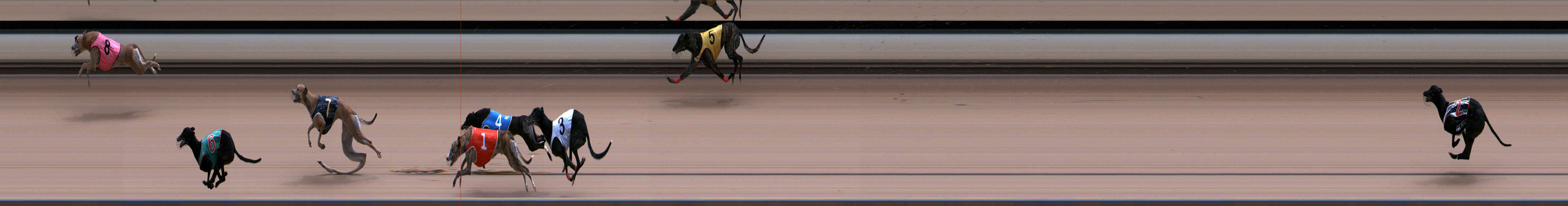 Photo finish for Healesville Race 11