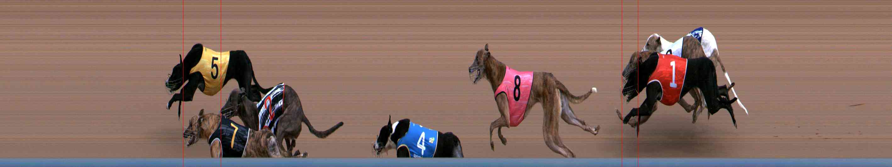 Photo finish for Healesville Race 1