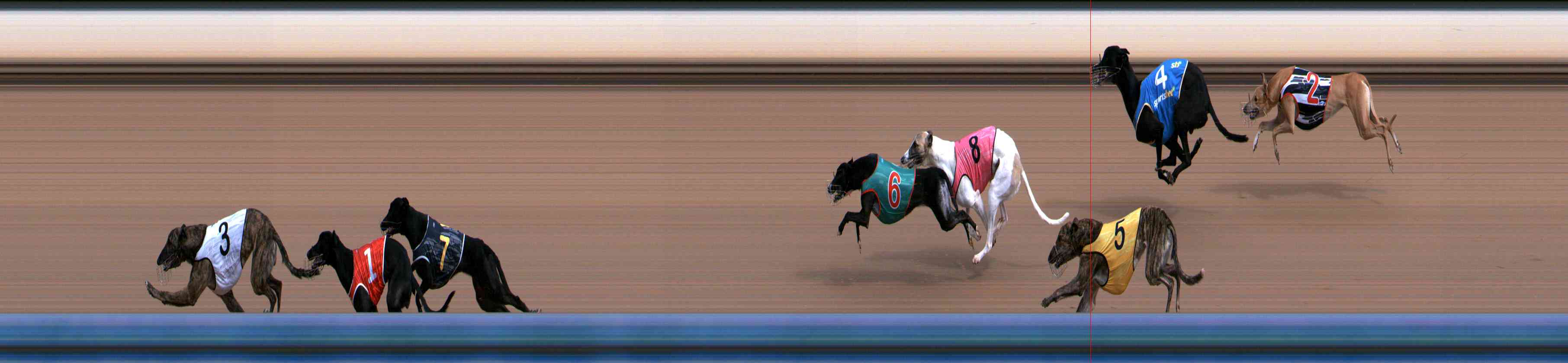 Photo finish for Healesville Race 2