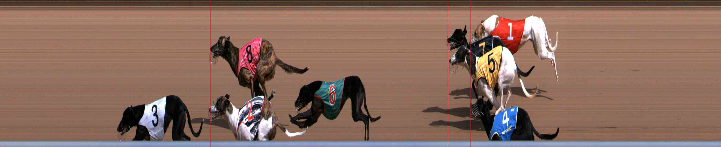 Photo finish for Healesville Race 3
