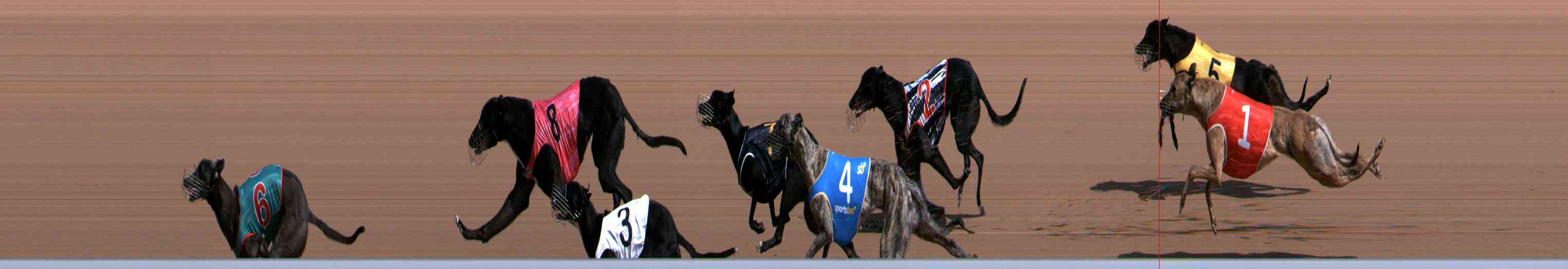 Photo finish for Healesville Race 4