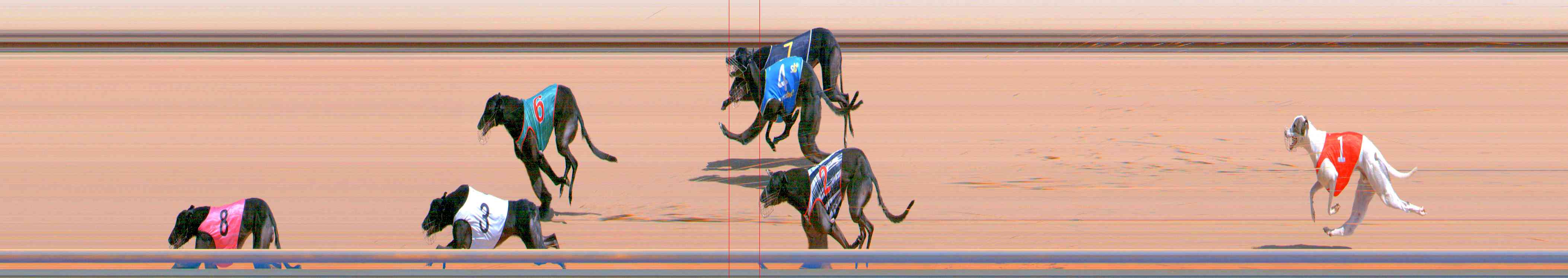 Photo finish for Healesville Race 6