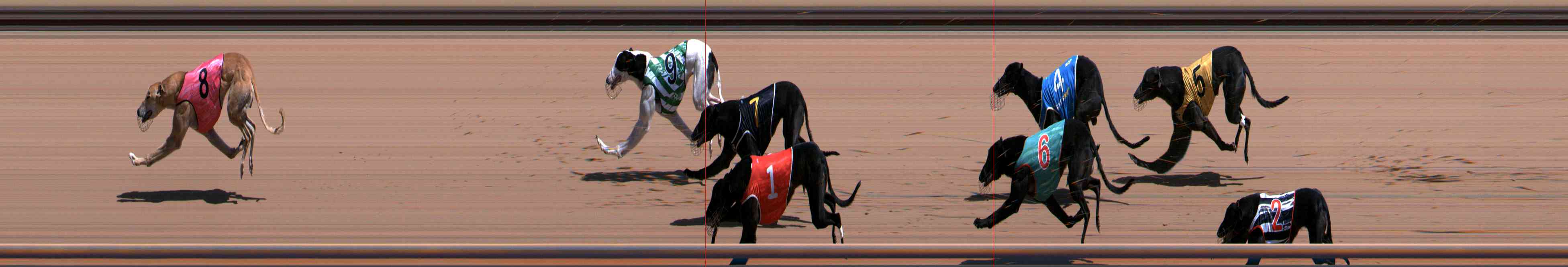 Photo finish for Healesville Race 7