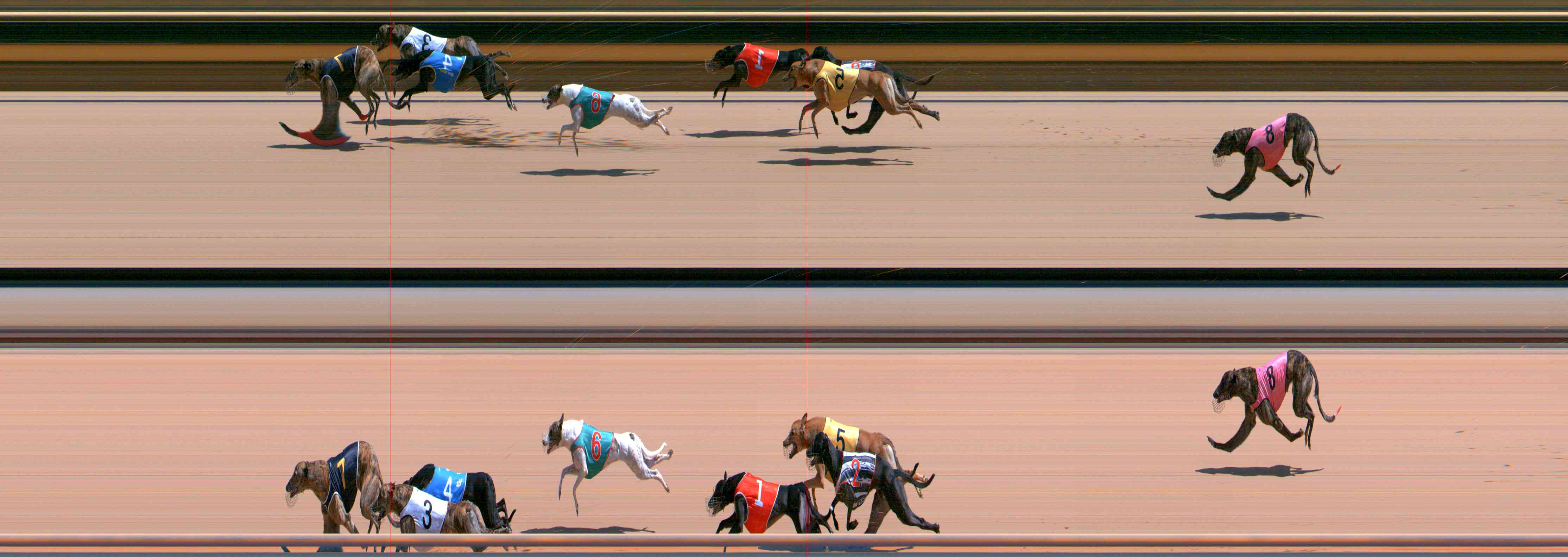 Photo finish for Healesville Race 8