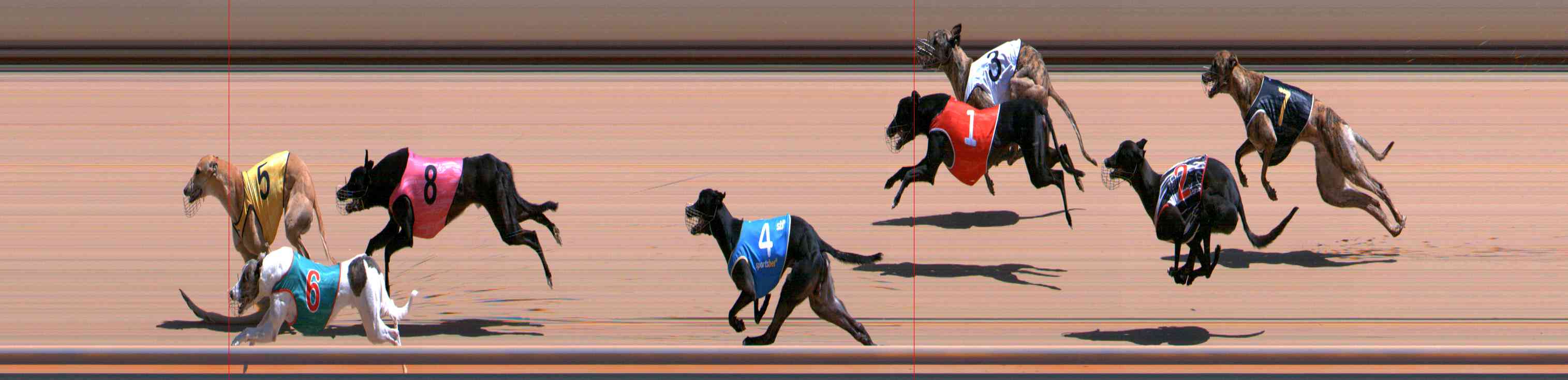 Photo finish for Healesville Race 9