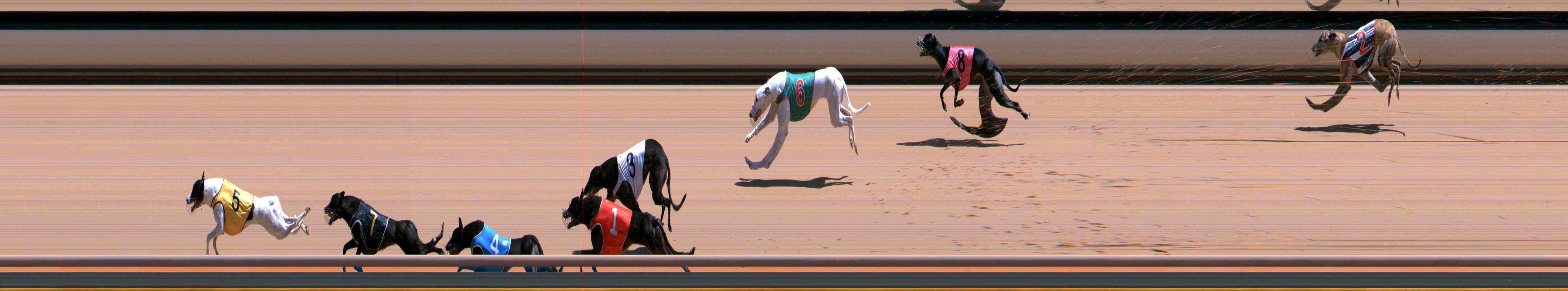 Photo finish for Healesville Race 10