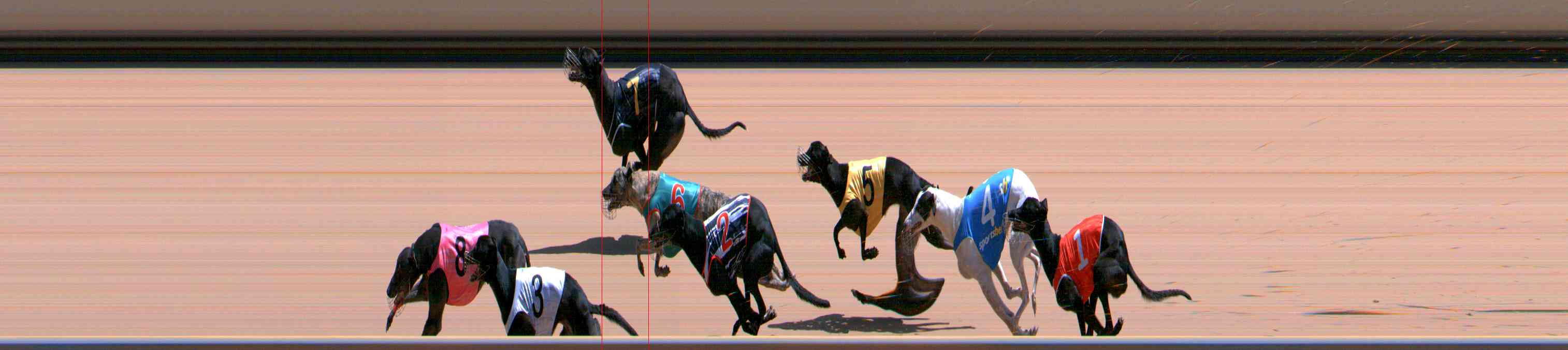Photo finish for Healesville Race 11