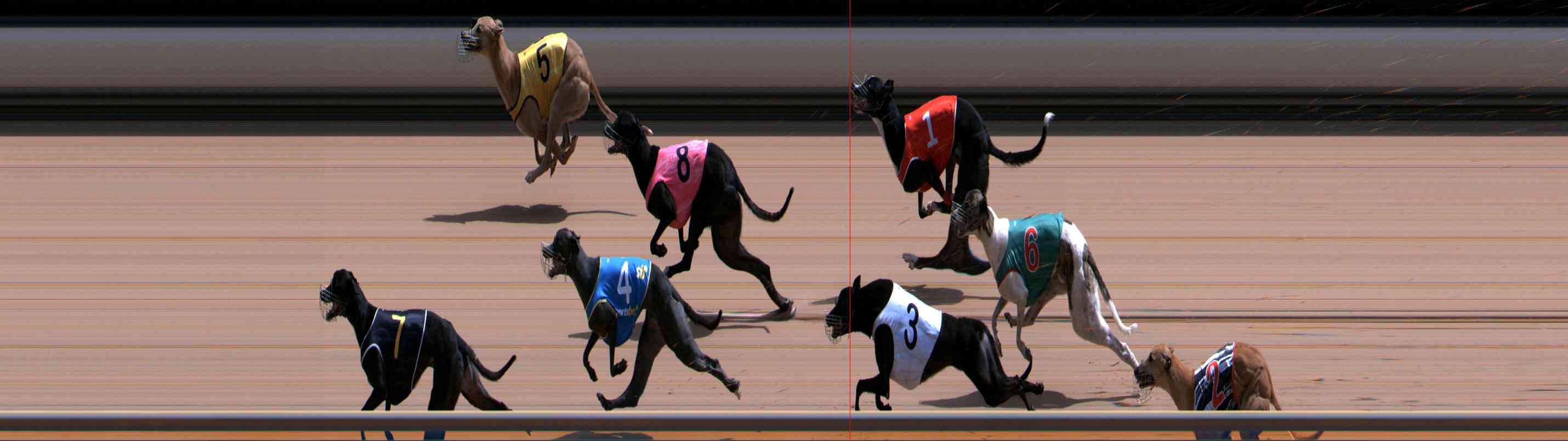 Photo finish for Healesville Race 12